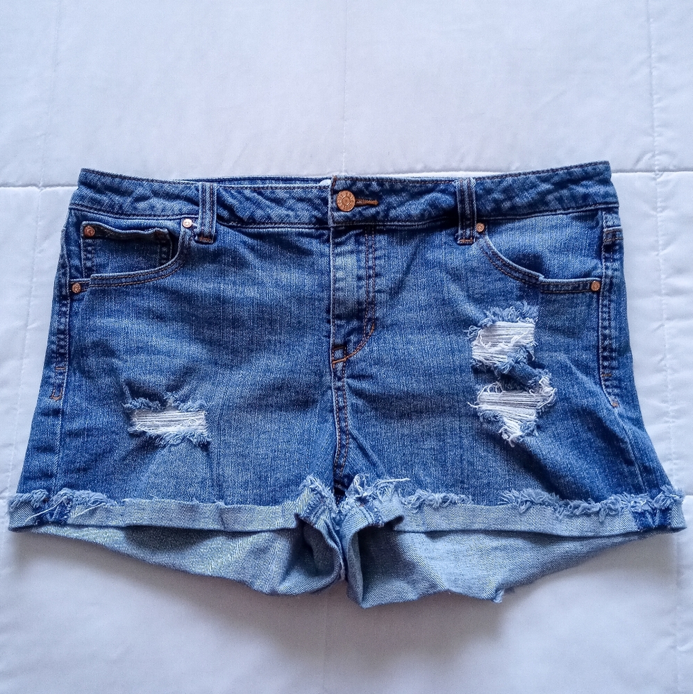 Celebrity Pink Shorts